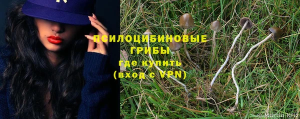 прущие грибы Карталы
