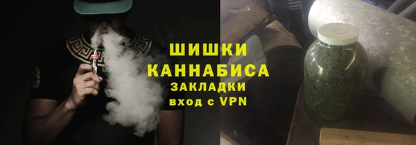 дурь Карпинск