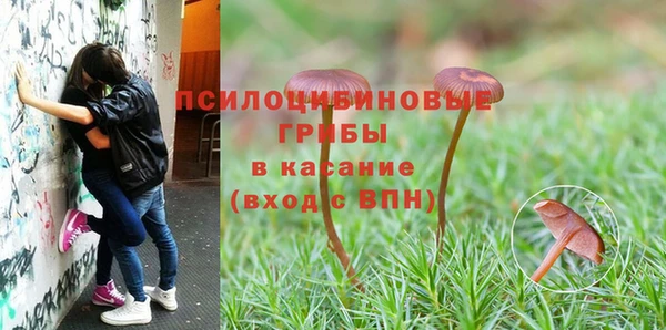 гашиш Касимов